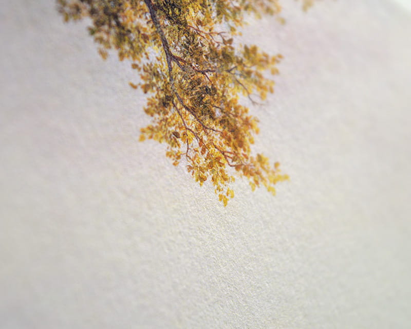 Bamboo, 110g (Pürüzsüz bambu washi)  12