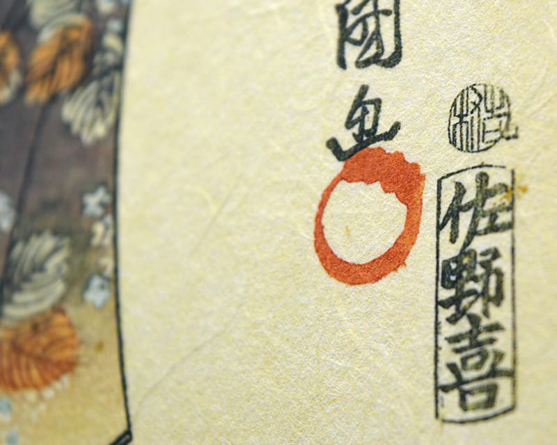 Premio Unryu, 165g (Bulutlu kozo lifleri ile Washi)  7