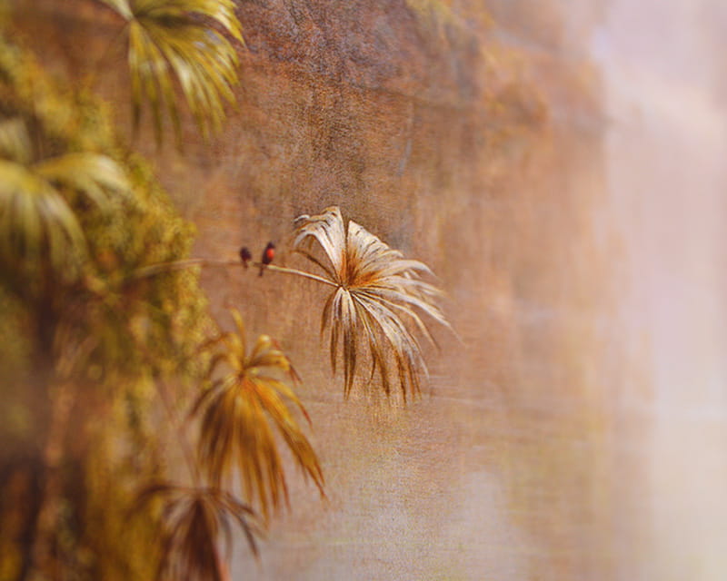 FineArt Fotoğraf Baryum (Hahnemühle Gloss Baryta)  21