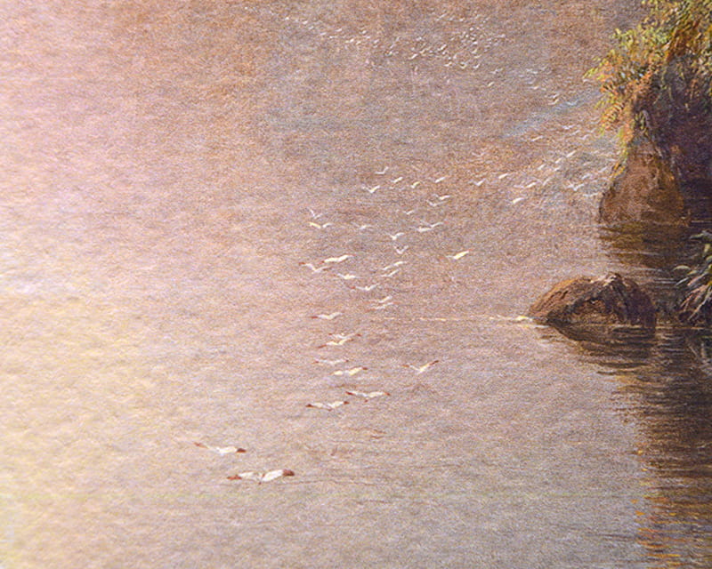Sulu Boya Karton Pürüzsüz (Museum Watercolor 310)  14