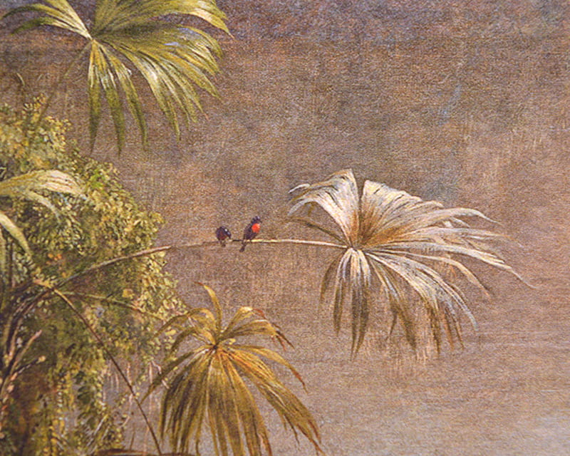 Sulu Boya Karton Pürüzsüz (Museum Watercolor 310)  15