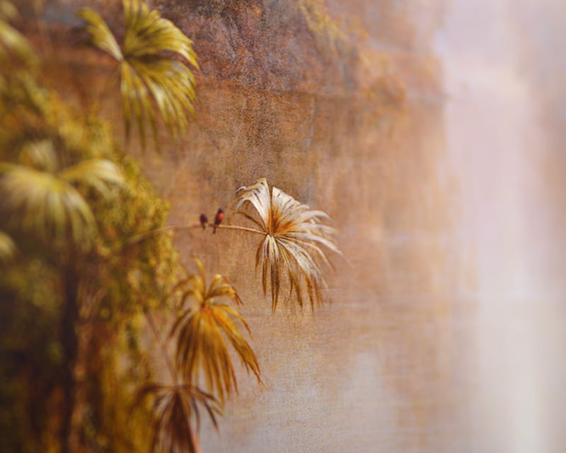 FineArt Fotoğraf Yarı Mat (Photo Pearl 300)  23