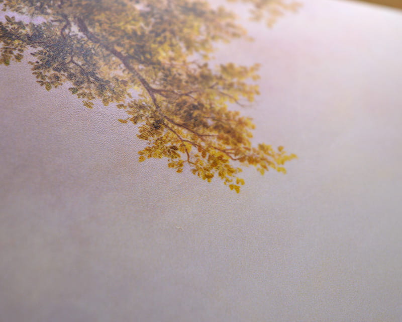 FineArt Fotoğraf Yarı Mat (Photo Pearl 300)  24