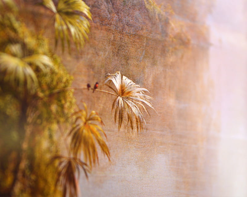 FineArt Fotoğraf Parlak (PGC 310 FD)  27