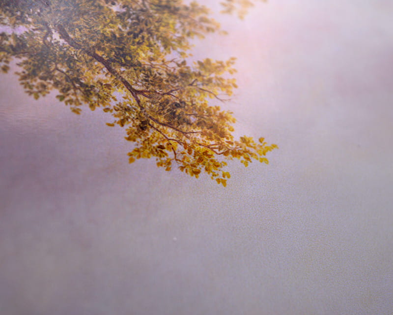 FineArt Fotoğraf Parlak (PGC 310 FD)  28