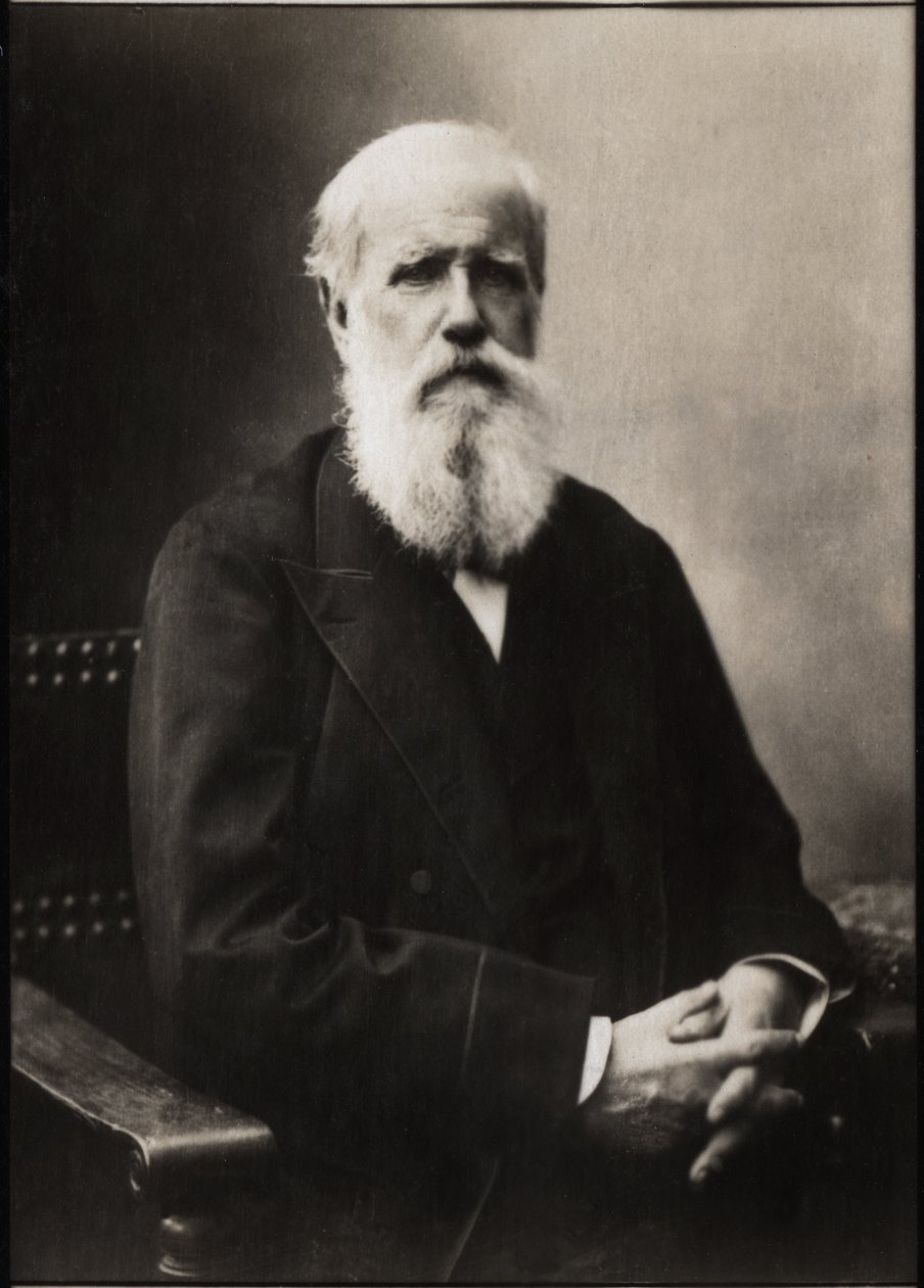 Dom Pedro II