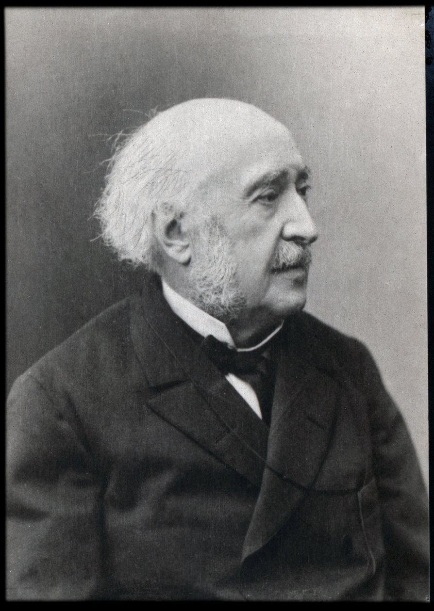 Francois Jules Suisse (Jules Simon) (1814-1896), Fransız devlet adamı ve filozofun portresi. by French Photographer