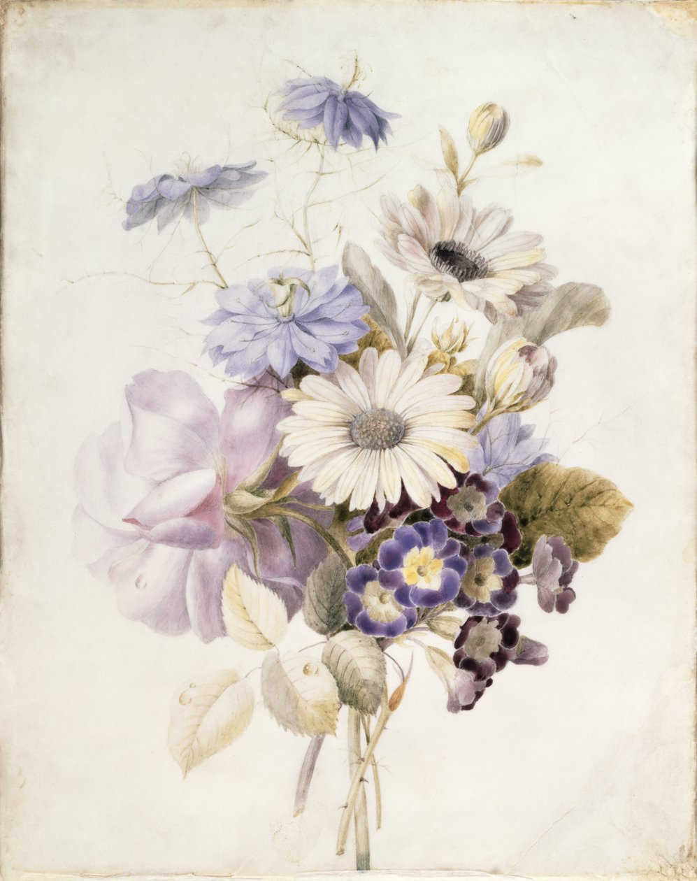 Papatyalarla Çiçekler, 1840 (kağıt üzerinde wc) by French School
