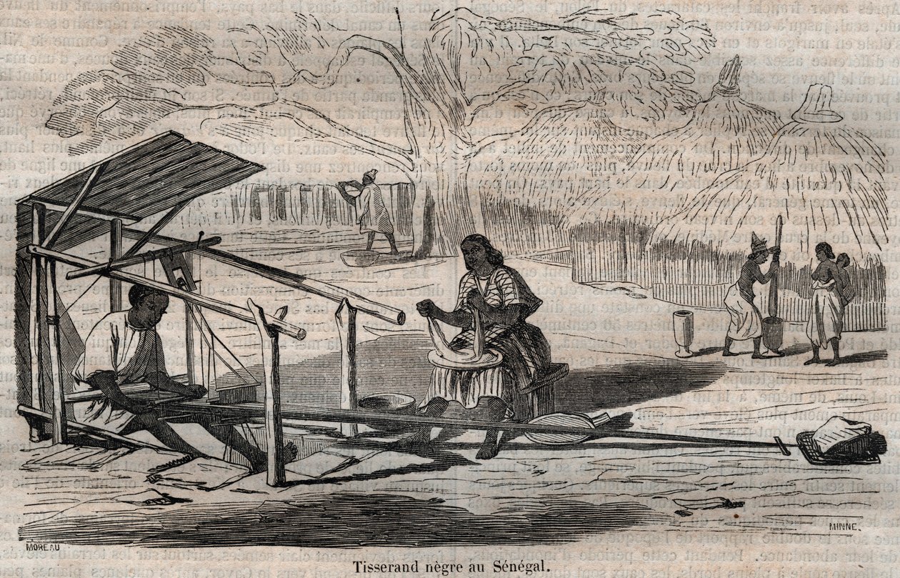 Senegalli siyah dokumacı by French School