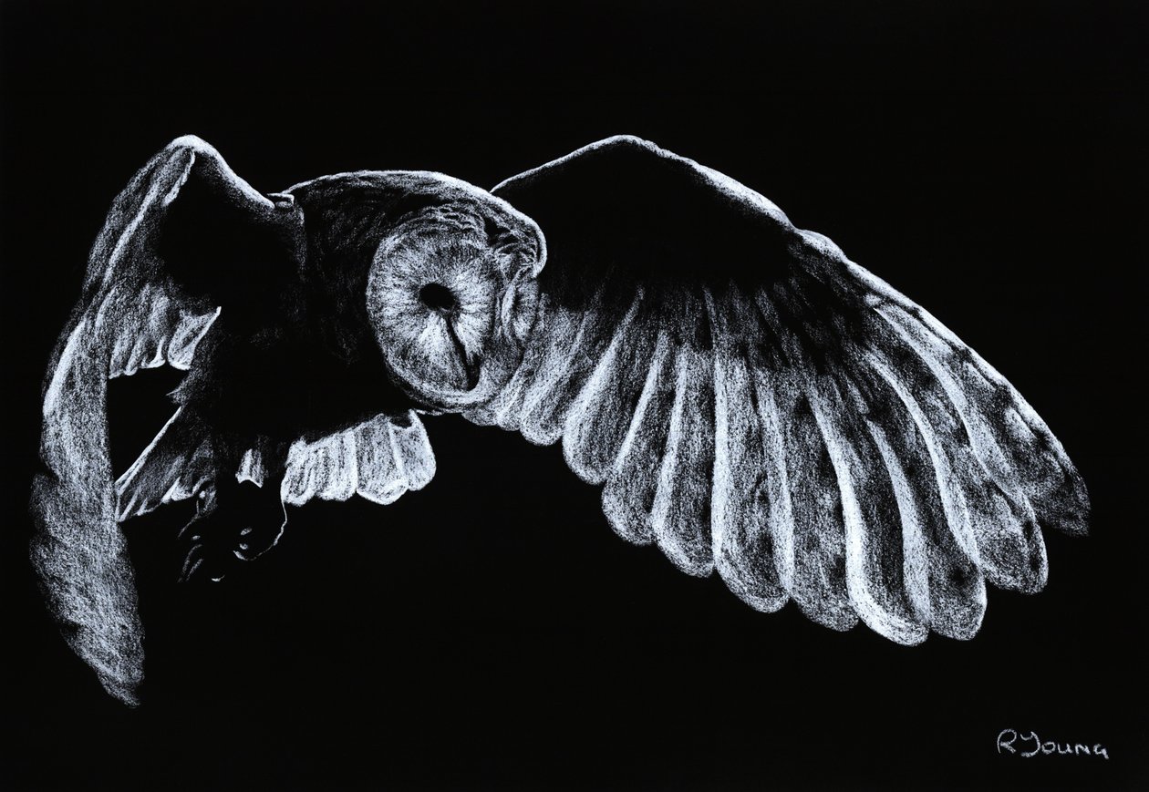  by Richard Young