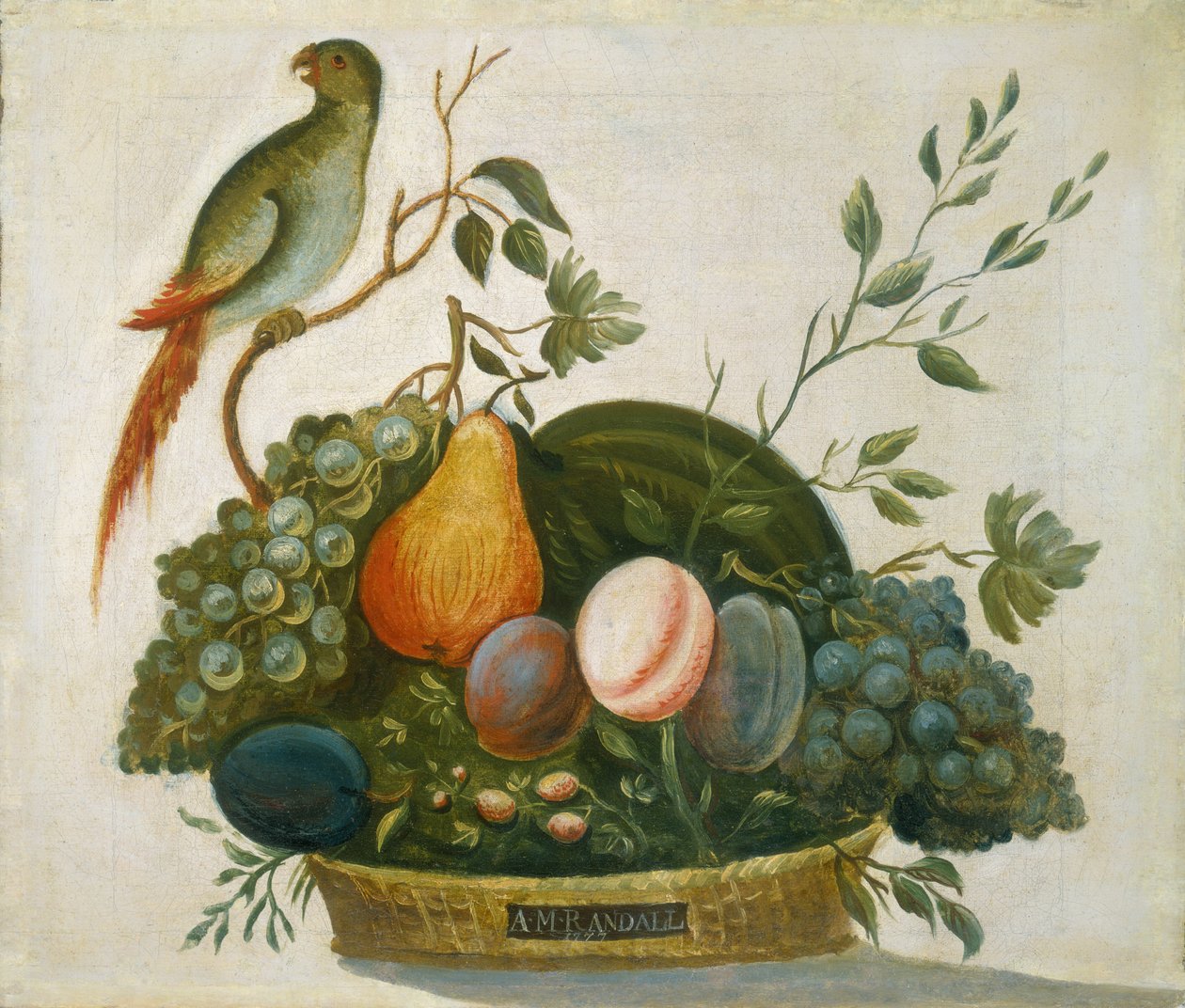 Papağanlı Meyve Sepeti, 1777. by A.M. Randall