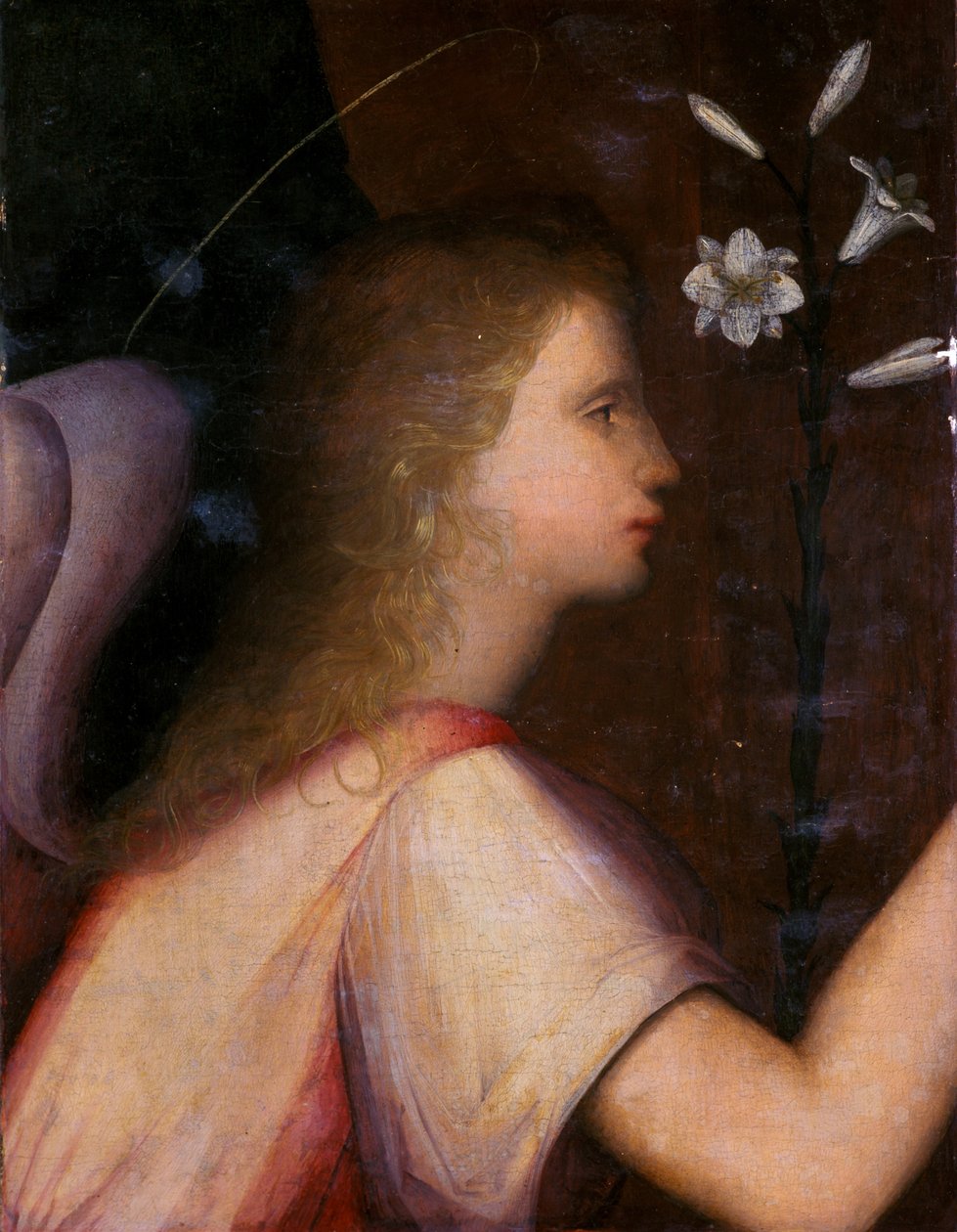 Başmelek Gabriel (ahşapta tempera) by A. 1485 c.1525 Piccinelli