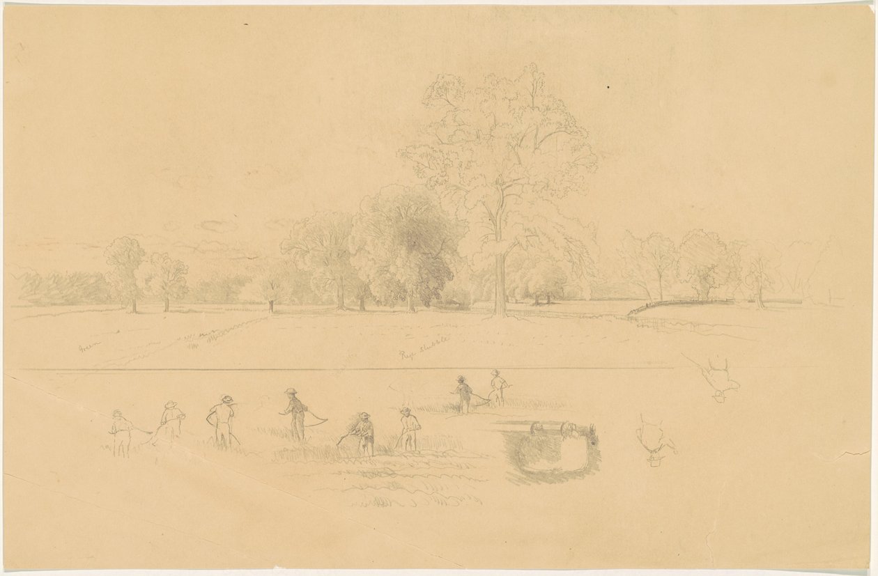 Hasat, New England by Aaron Draper Shattuck