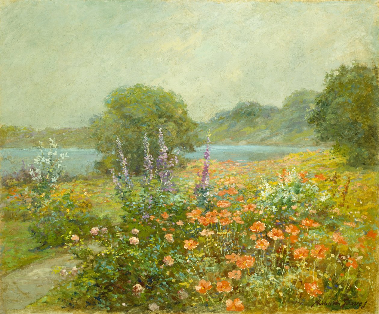 haşhaş by Abbott Fuller Graves