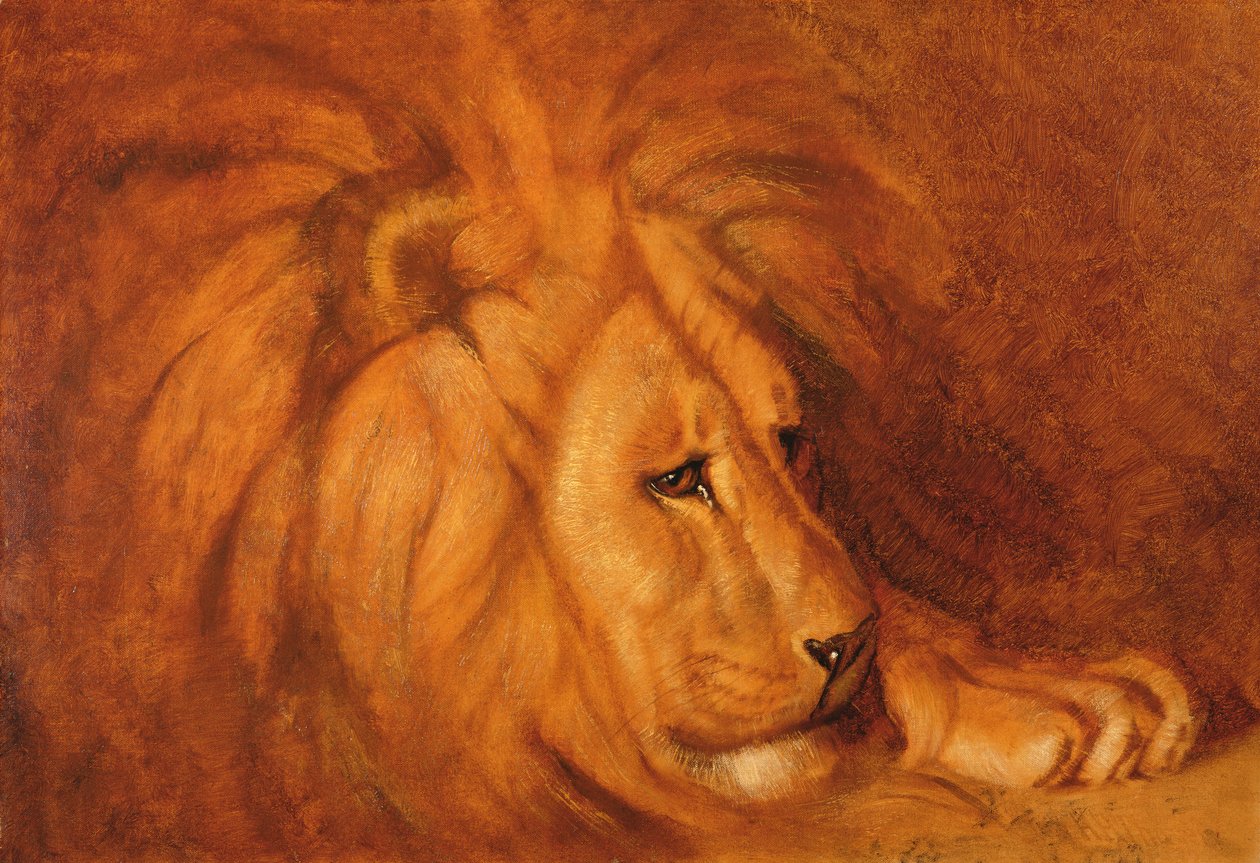 Dinlenmedeki Aslan (tuval üzerine yağlı boya) by Abbott Handerson Thayer