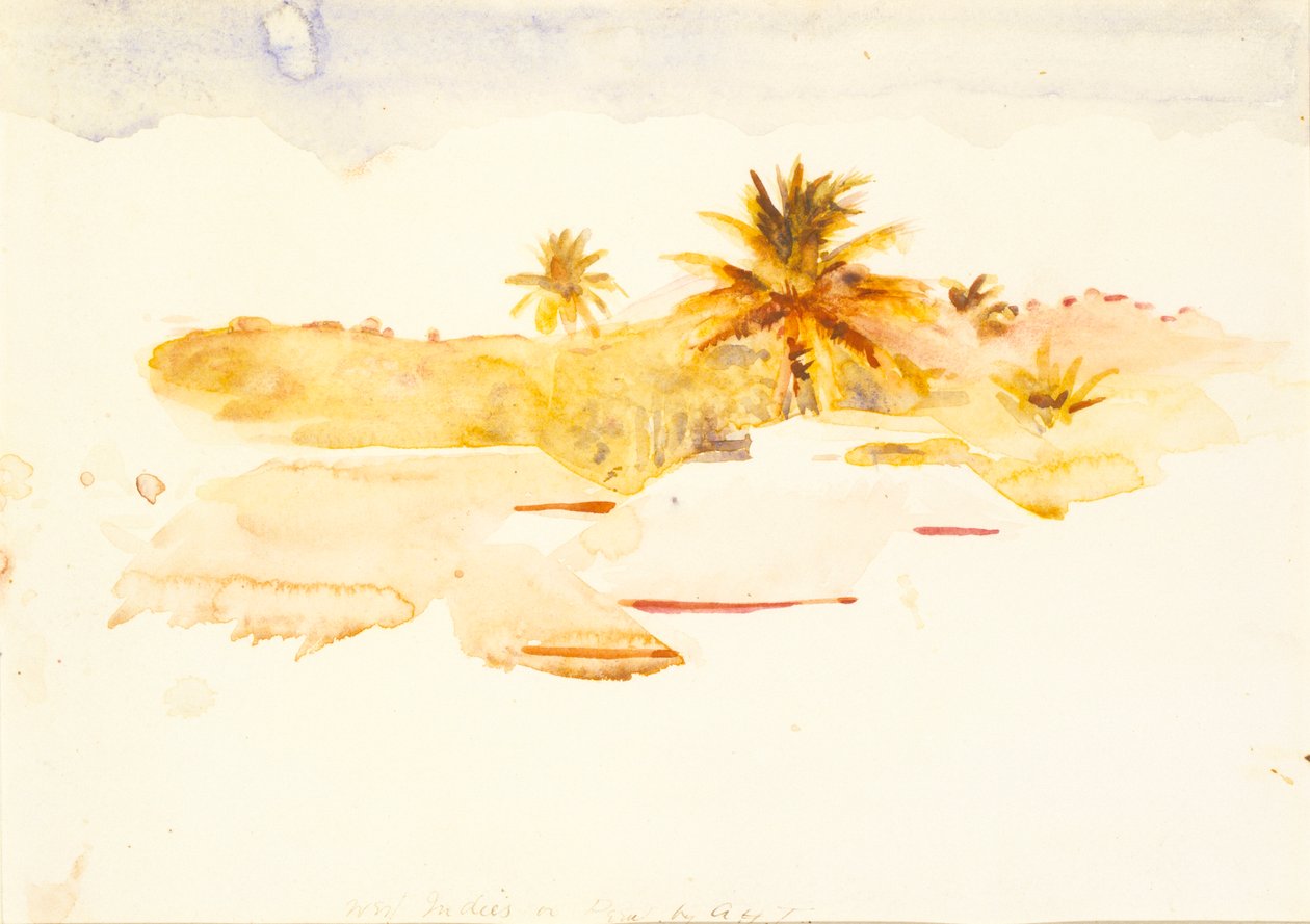 Batı Hint Adaları, n.d. by Abbott Handerson Thayer