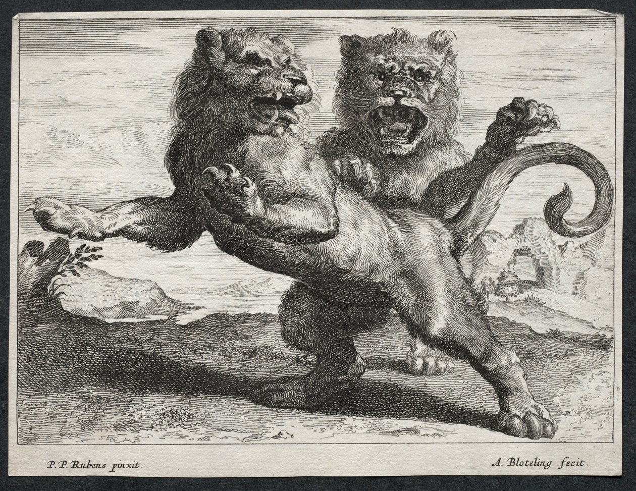 Çeşitli Aslanlar. by Abraham Blooteling