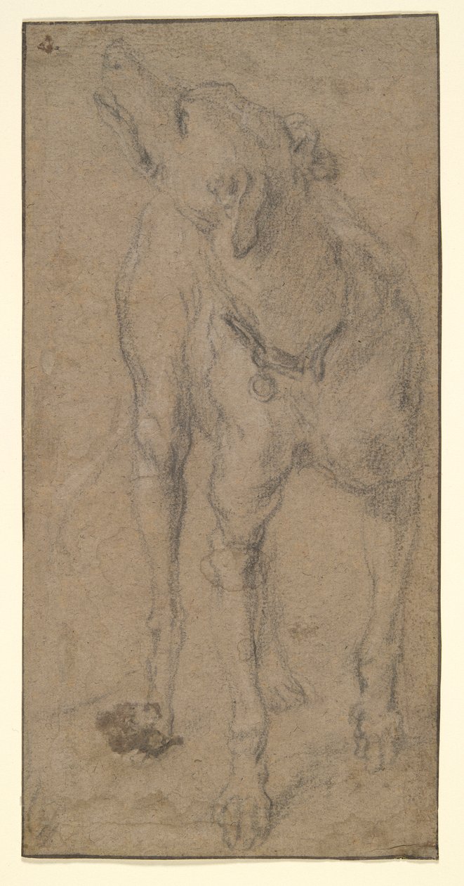 Köpek Çalışması by Abraham Hondius