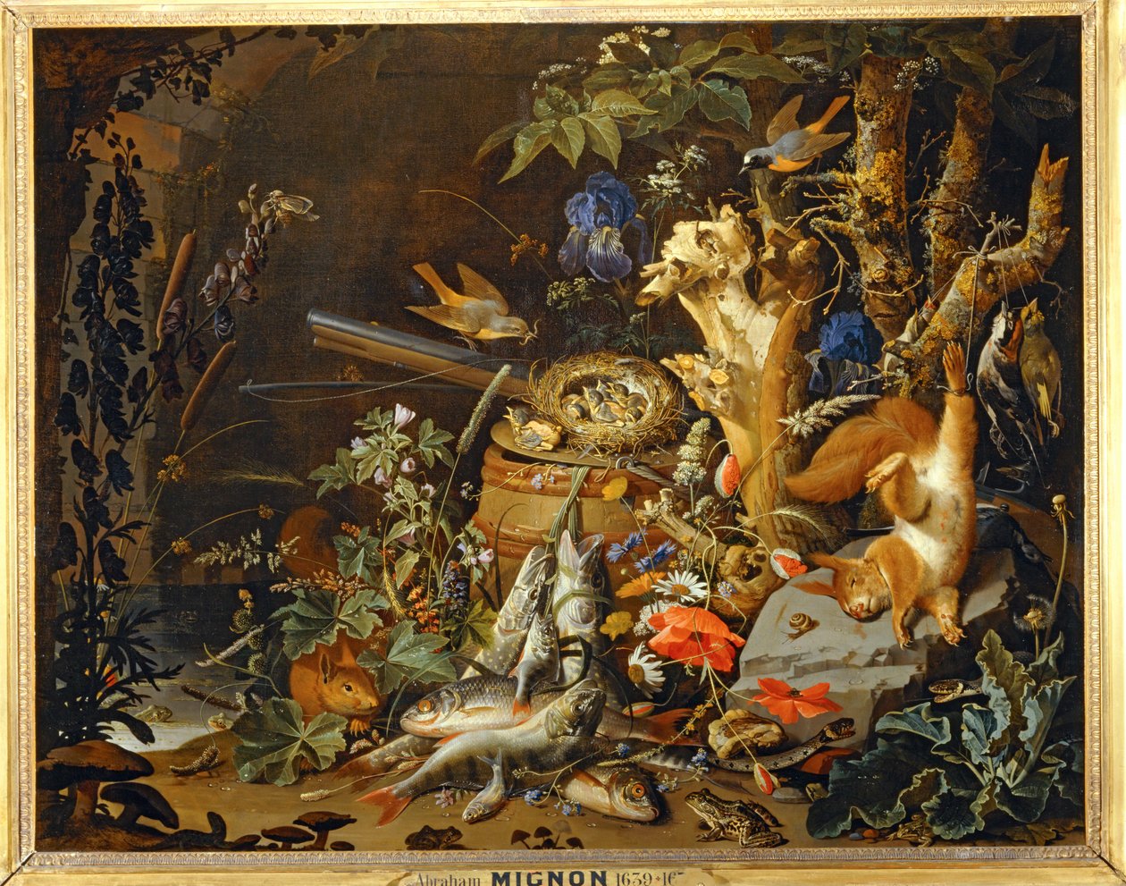  by Abraham Mignon