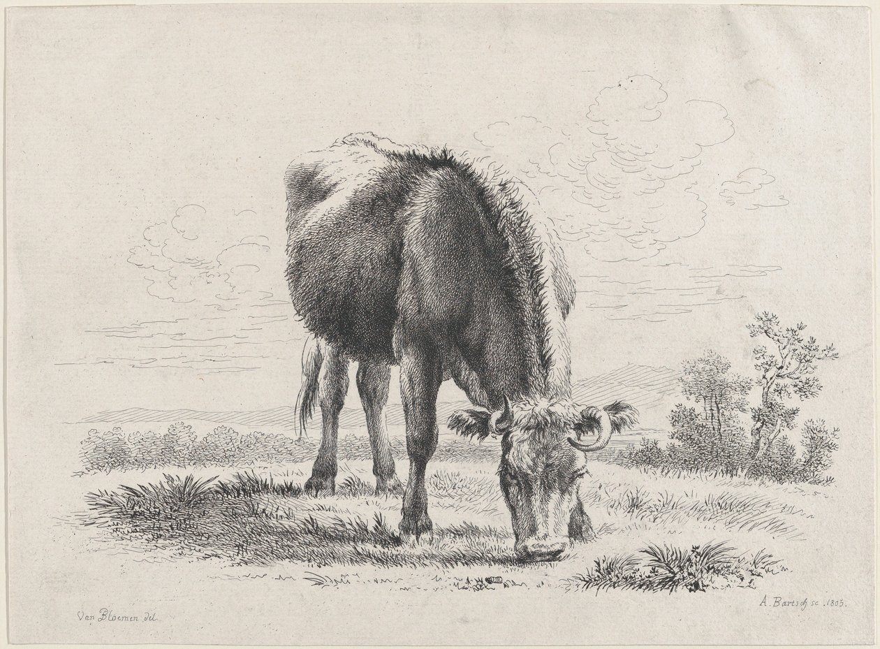 İnek otlatma, 1805., 1805. by Adam von Bartsch