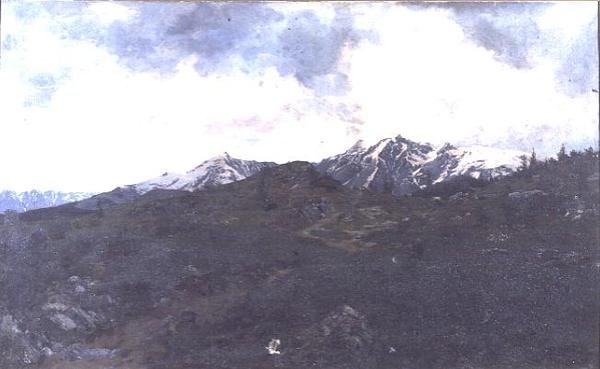 Alp Meralarında by Adolf von Meckel