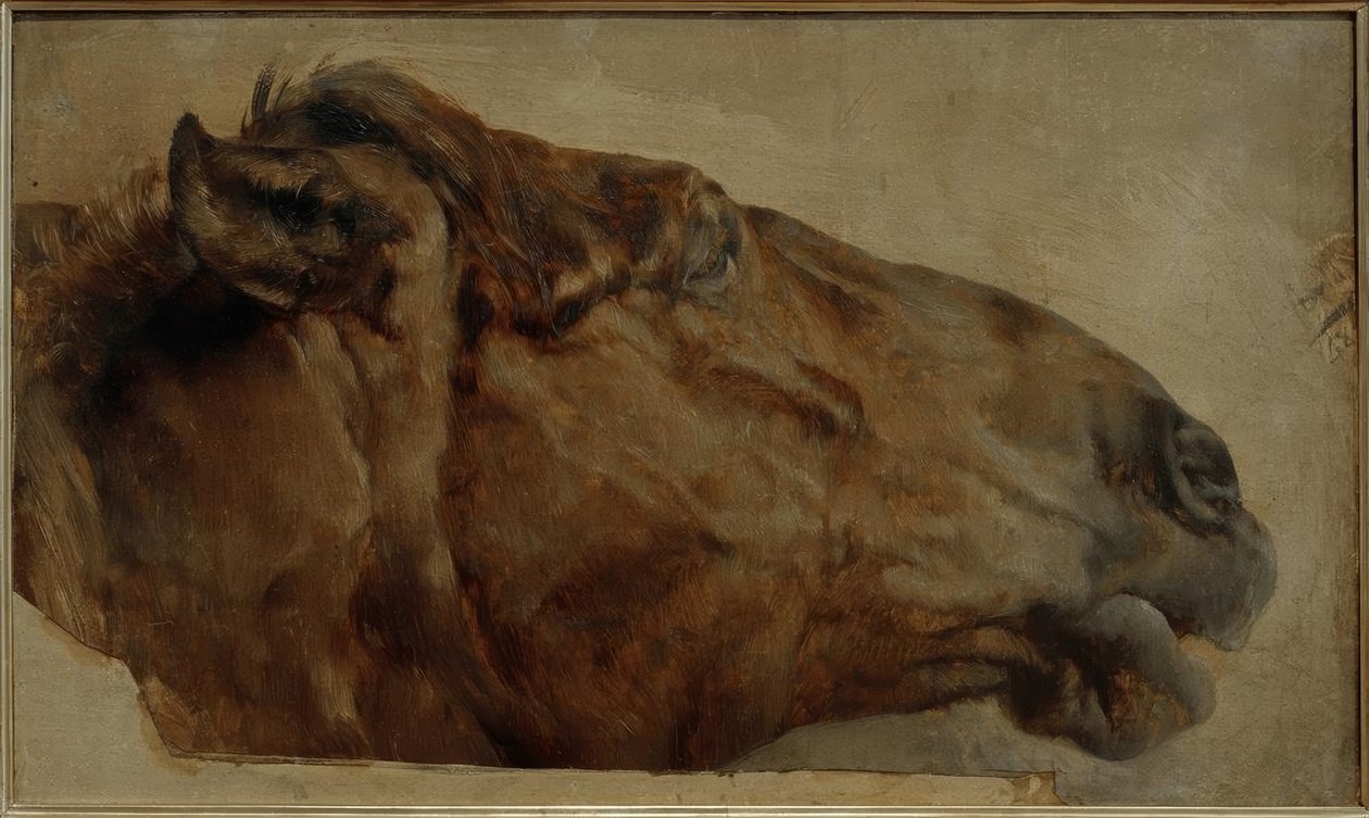 At çalışması. Sağ yan görünümde baş by Adolph Menzel