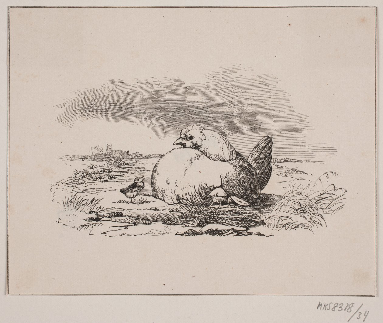 Tavuklar by Johan Adolph Kittendorff