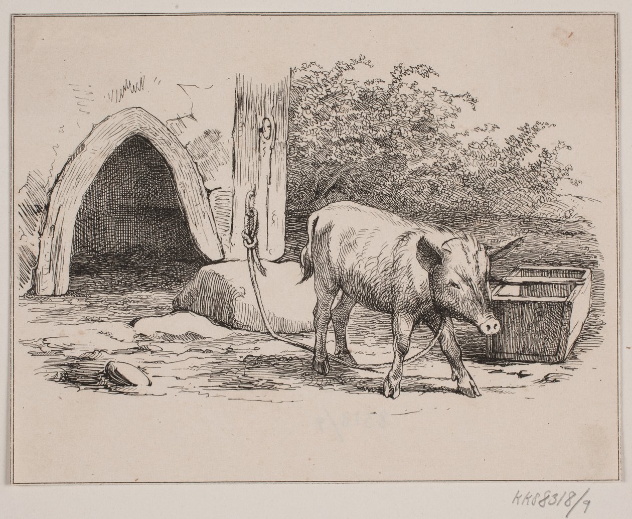 kobay by Johan Adolph Kittendorff