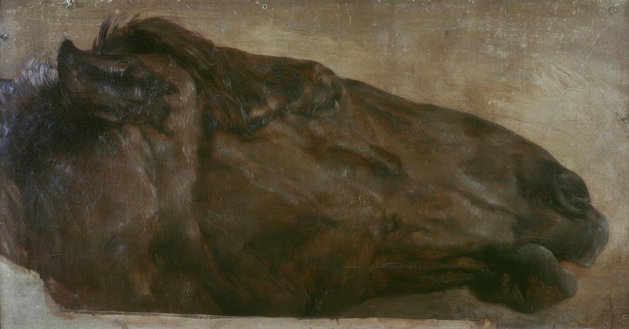 At çalışması. Sağdaki yan görünümde baş by Adolph Menzel