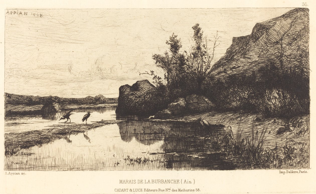 Burbanche Bataklığı by Adolphe Appian