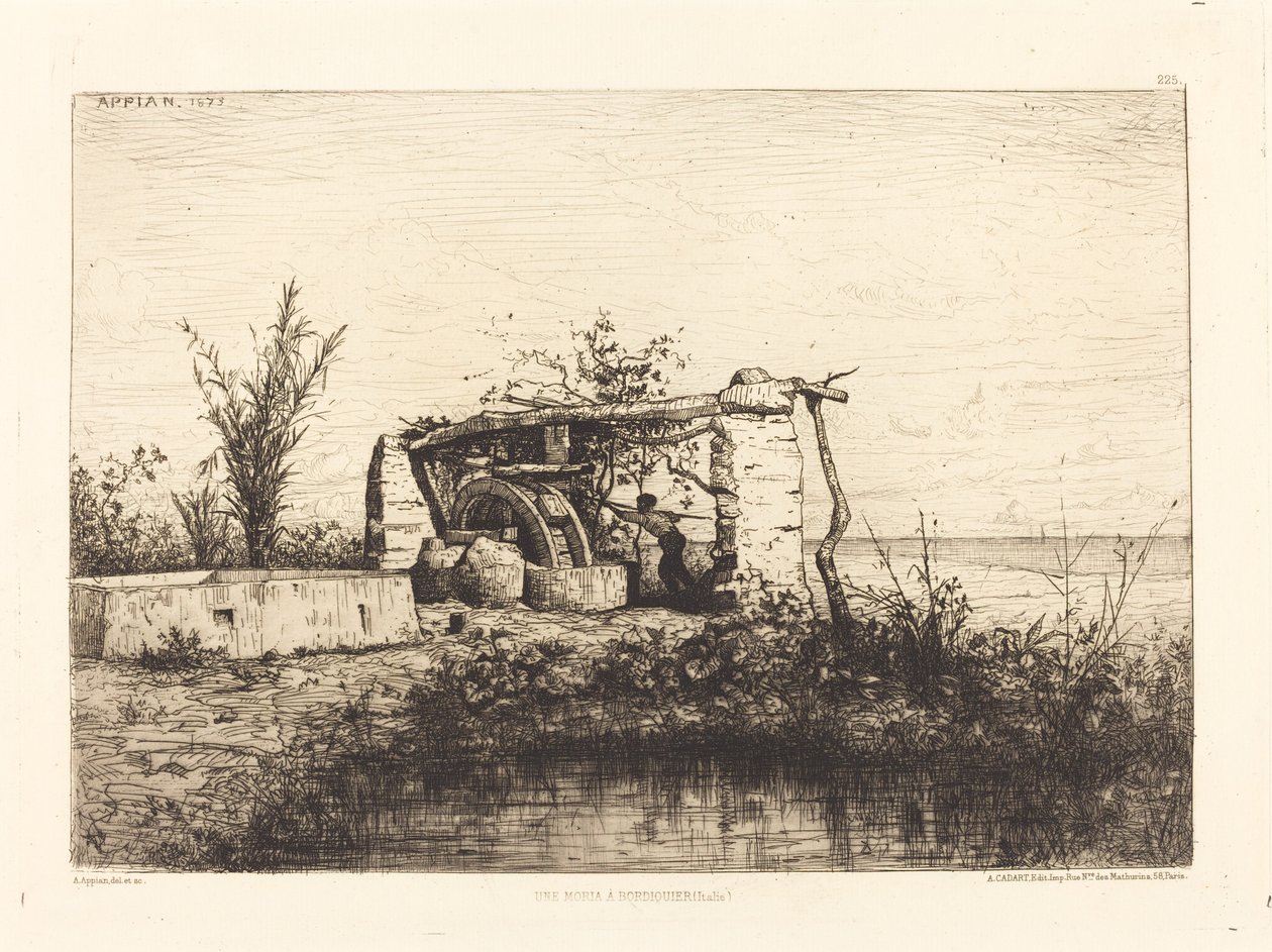 Bordiquier
