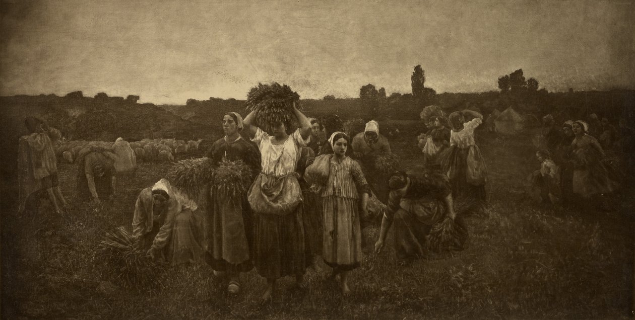  by Adolphe Braun