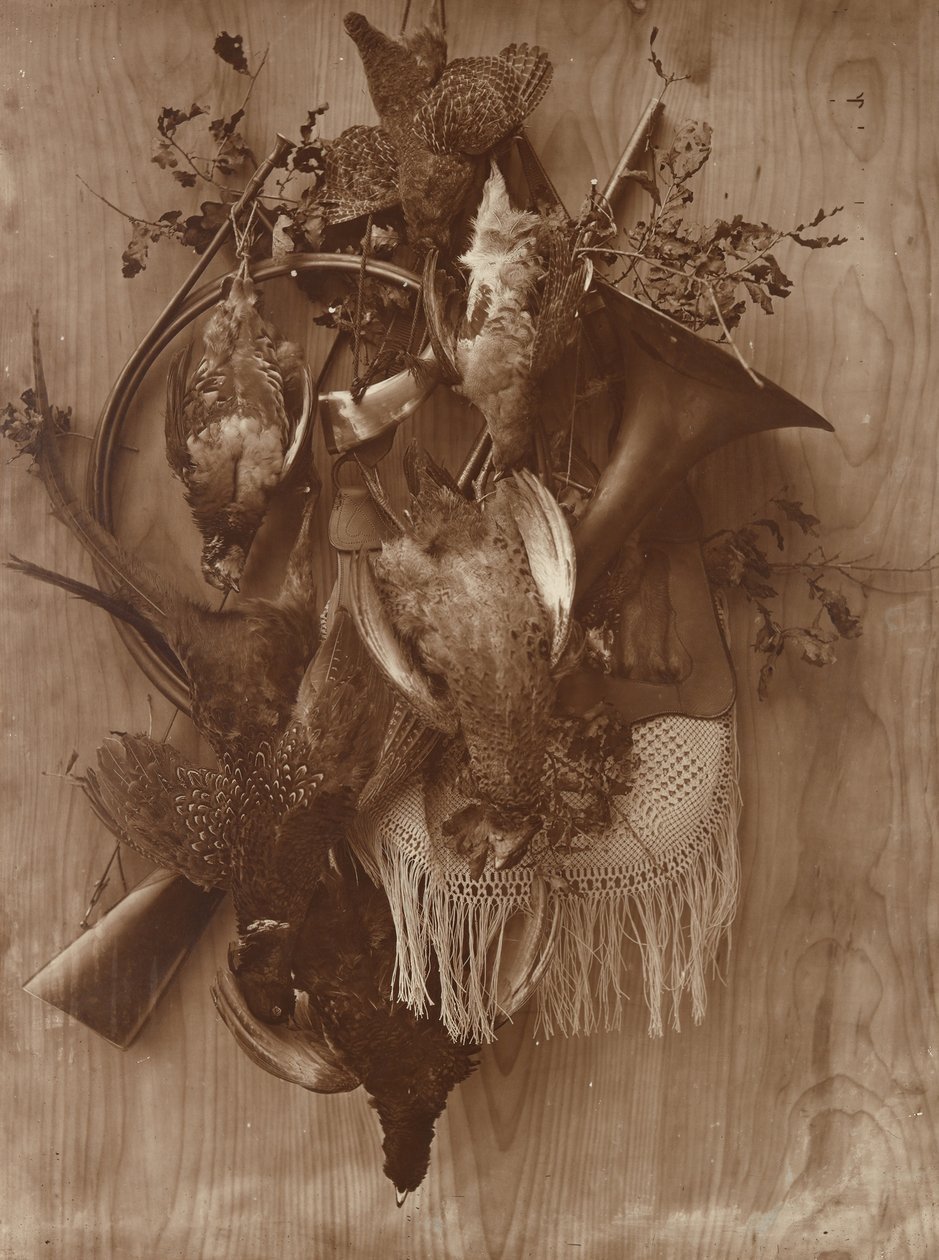 Sülün ve Orman Tavuğu, ca. 1865. by Adolphe Braun