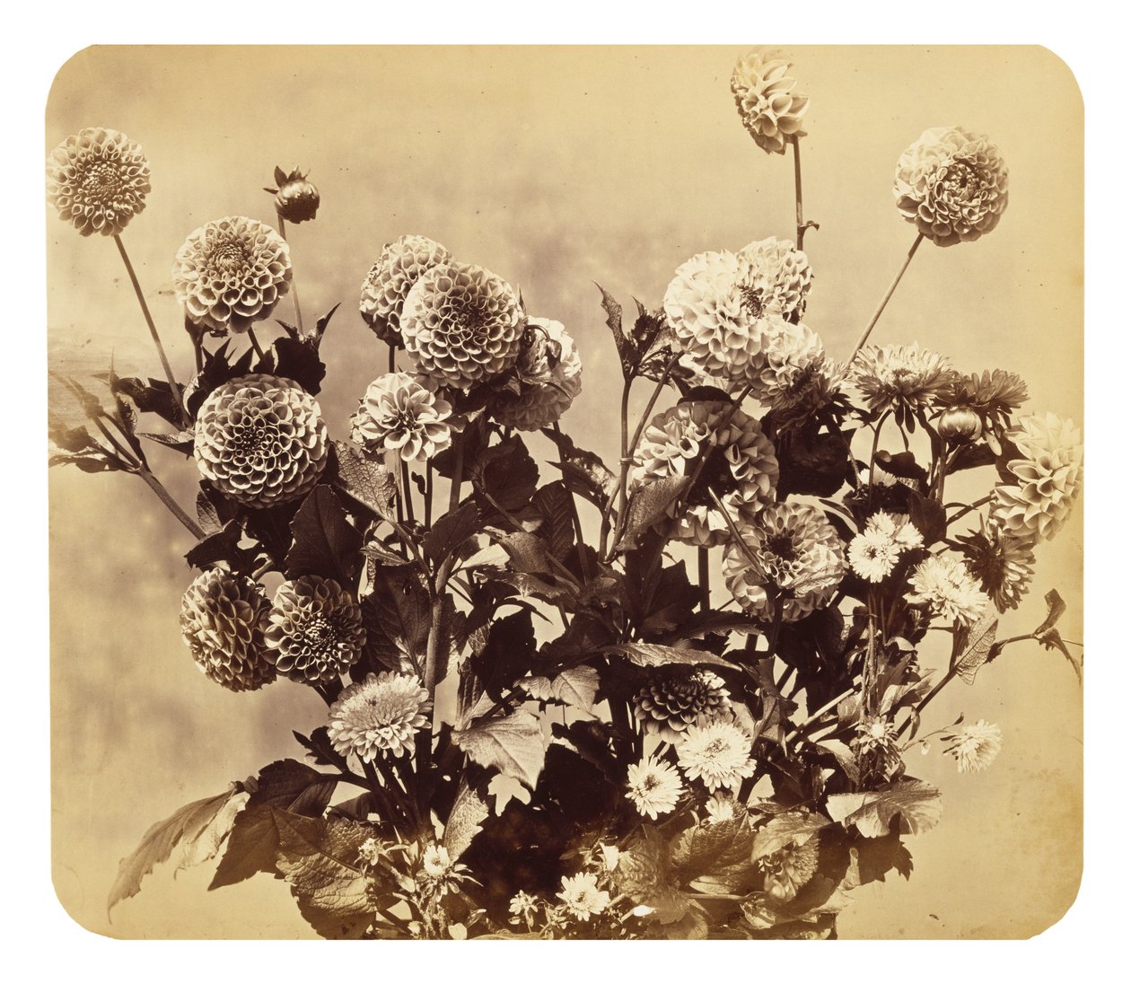 İsimsiz, c. 1860 (albüm baskısı) by Adolphe Braun