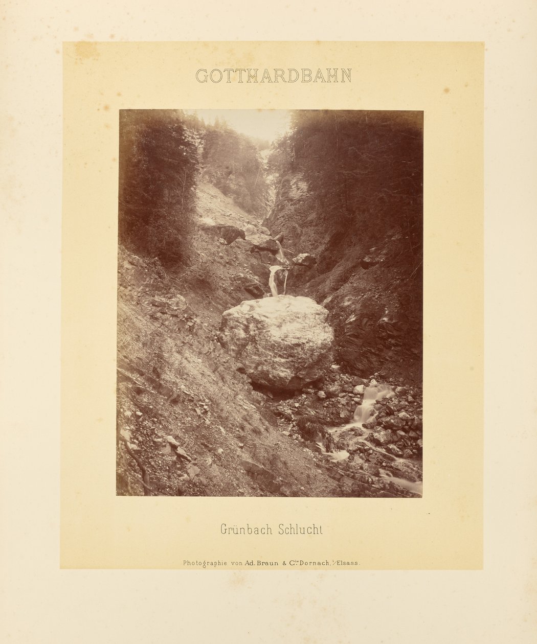  by Adolphe Braun and Cie