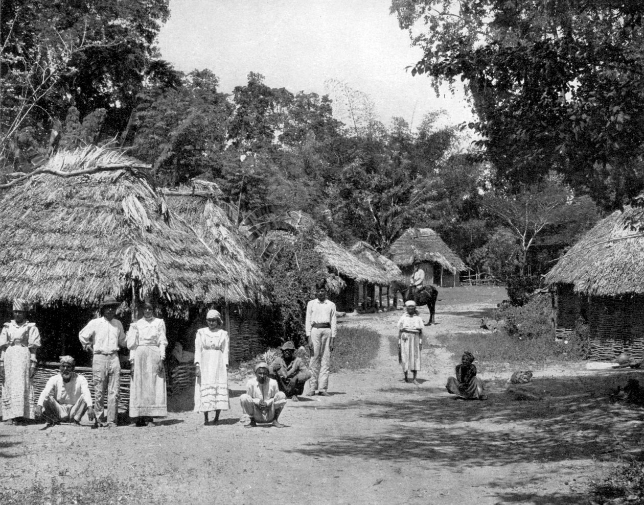 Yerli kulübeler, Jamaika, c1905. by Adolphe Duperly and Son