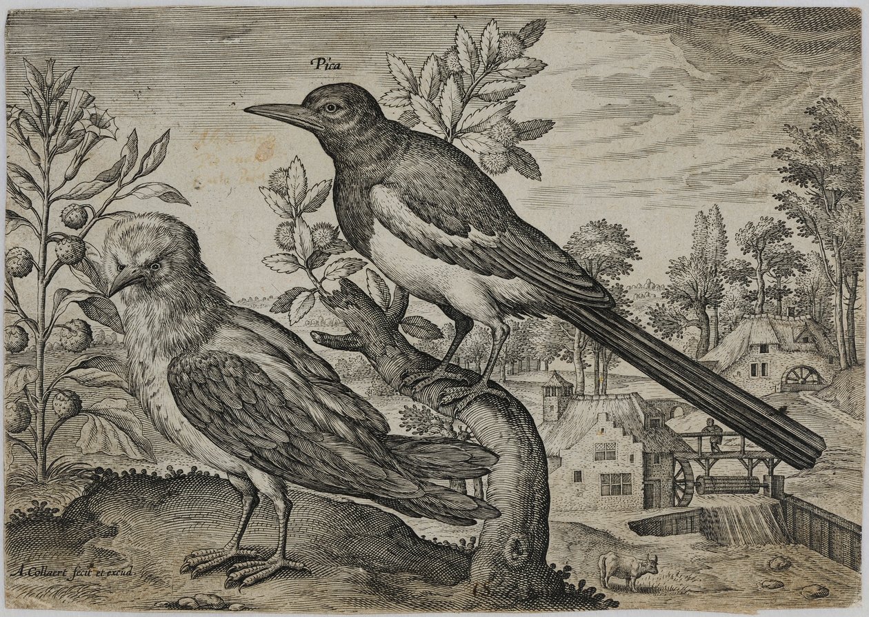 Eski Usta Gravür by Adriaen Collaert