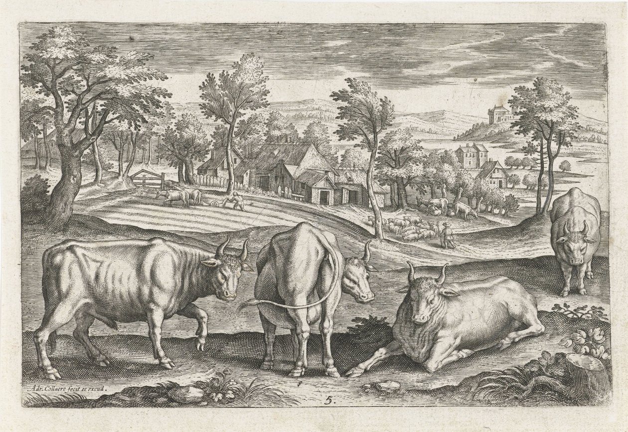 sığırlar Dört ayaklı hayvanlar (dizi adı) Animalivm Qvaddrvpedvm (dizi başlığı) by Adriaen Collaert