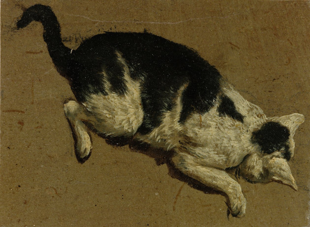 Yukarıdan kedi (fırça çizimi) by Adriaen van de Velde