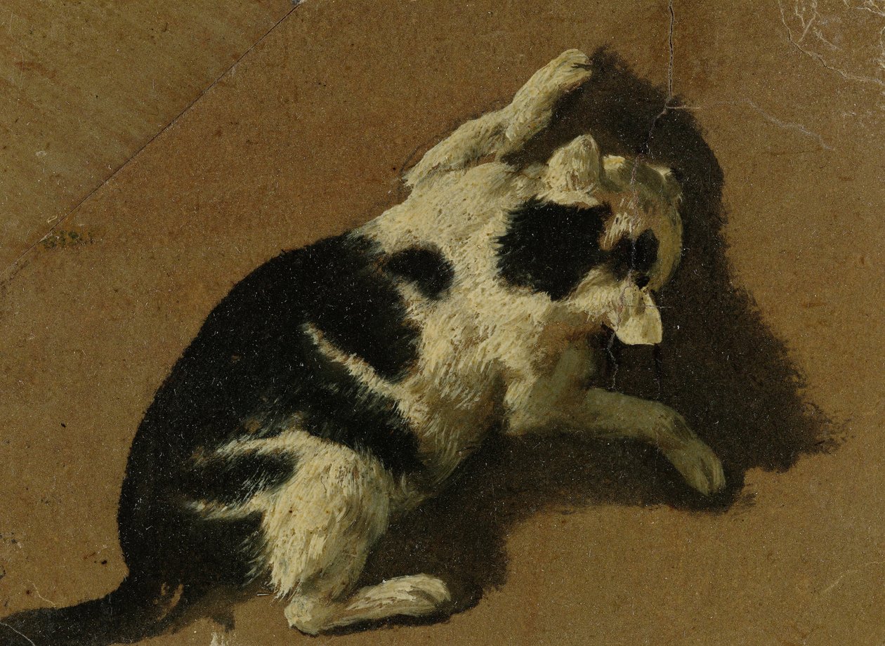 Oynayan kedi (fırça çizimi) by Adriaen van de Velde