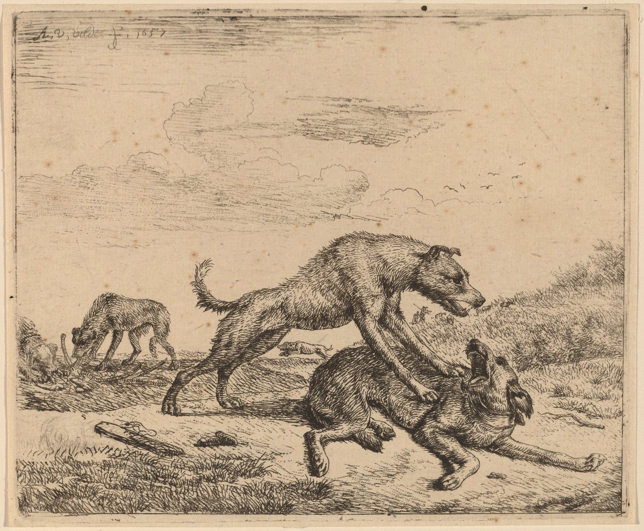 dövüş köpekleri by Adriaen van de Velde