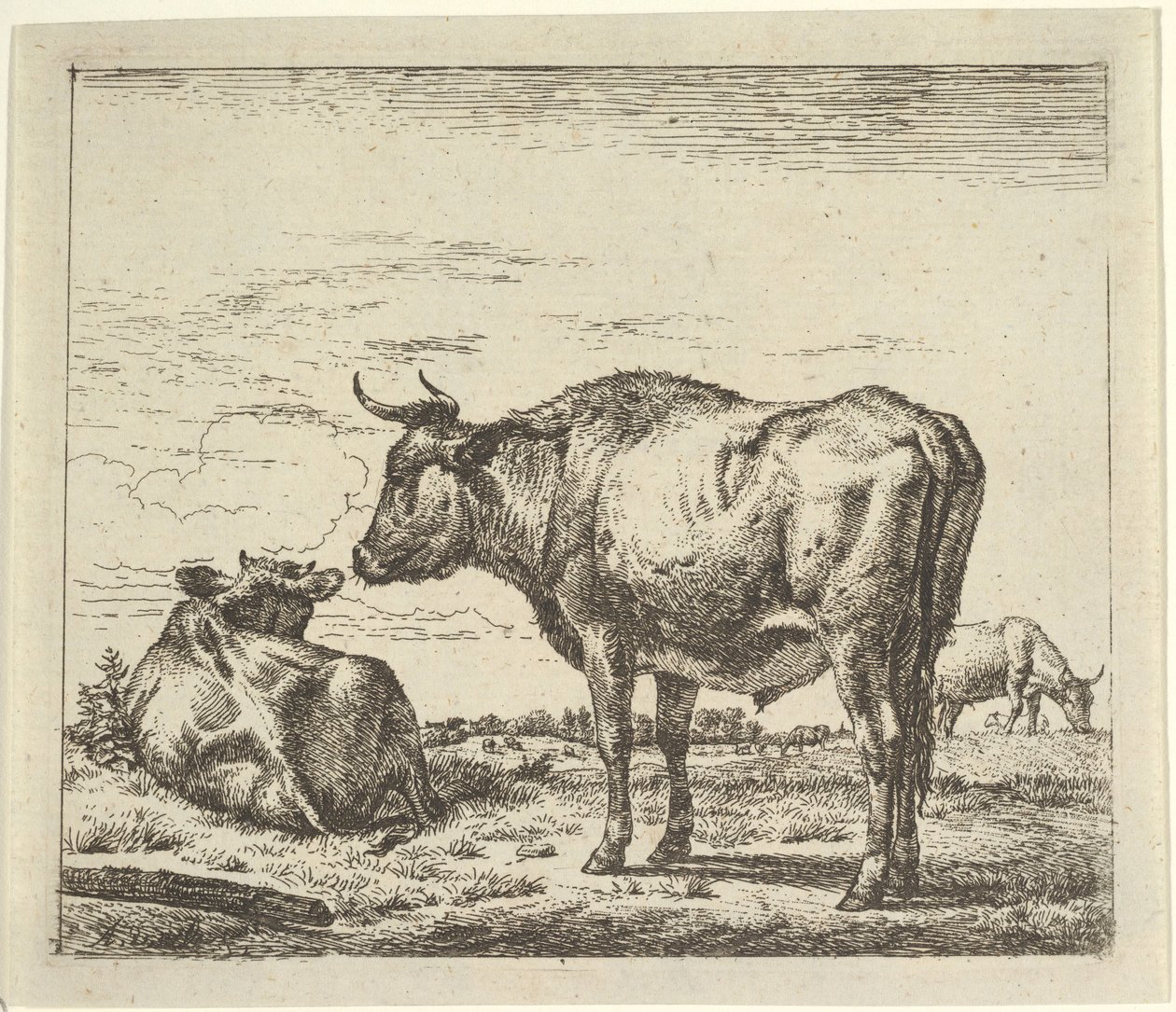 Farklı Hayvanlardan Ayakta Boğa. by Adriaen van de Velde