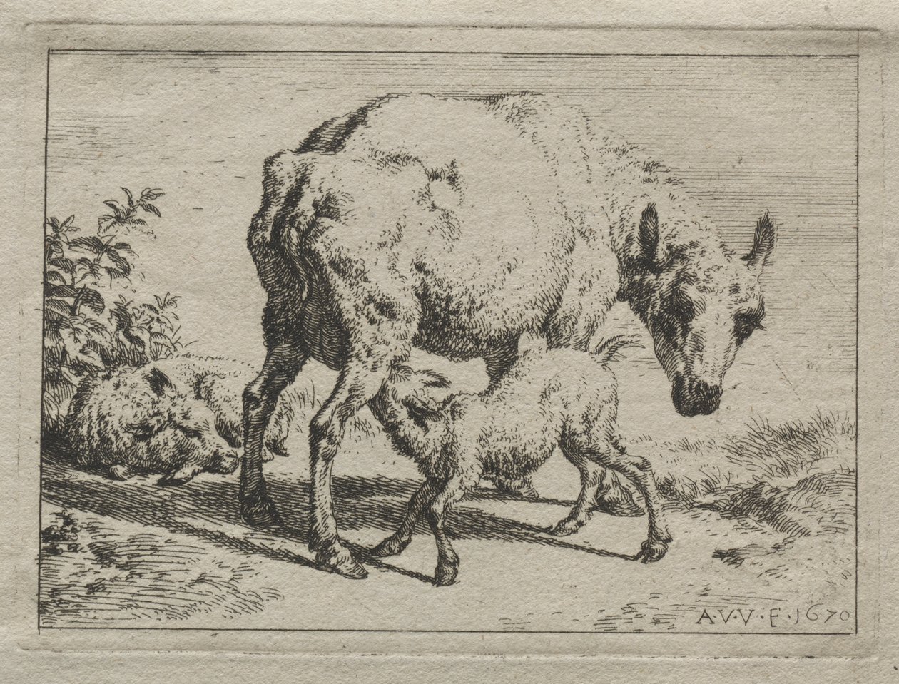 koyun ve iki kuzu by Adriaen van de Velde