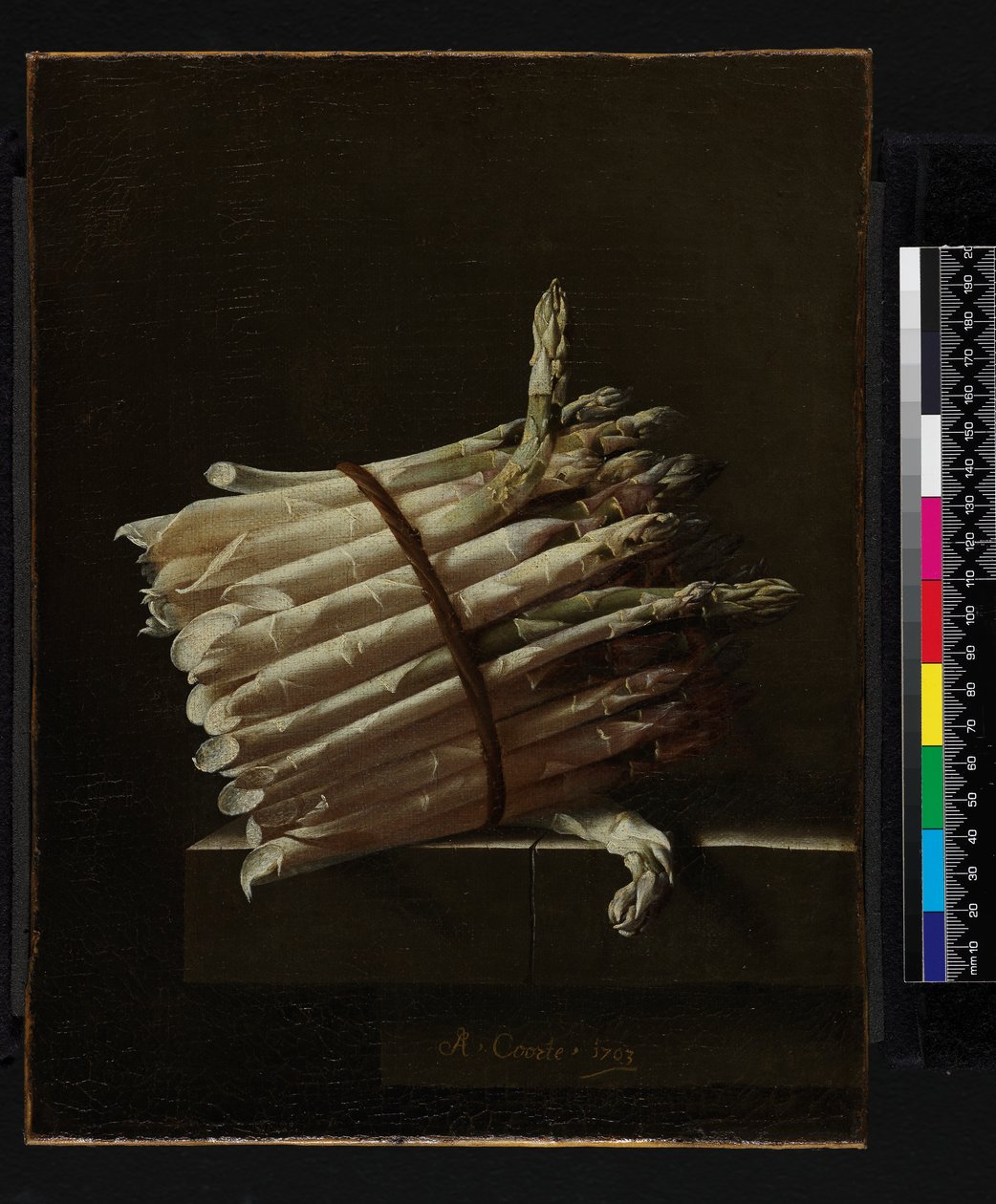 Bir demet kuşkonmaz, 1703 by Adrian Coorte