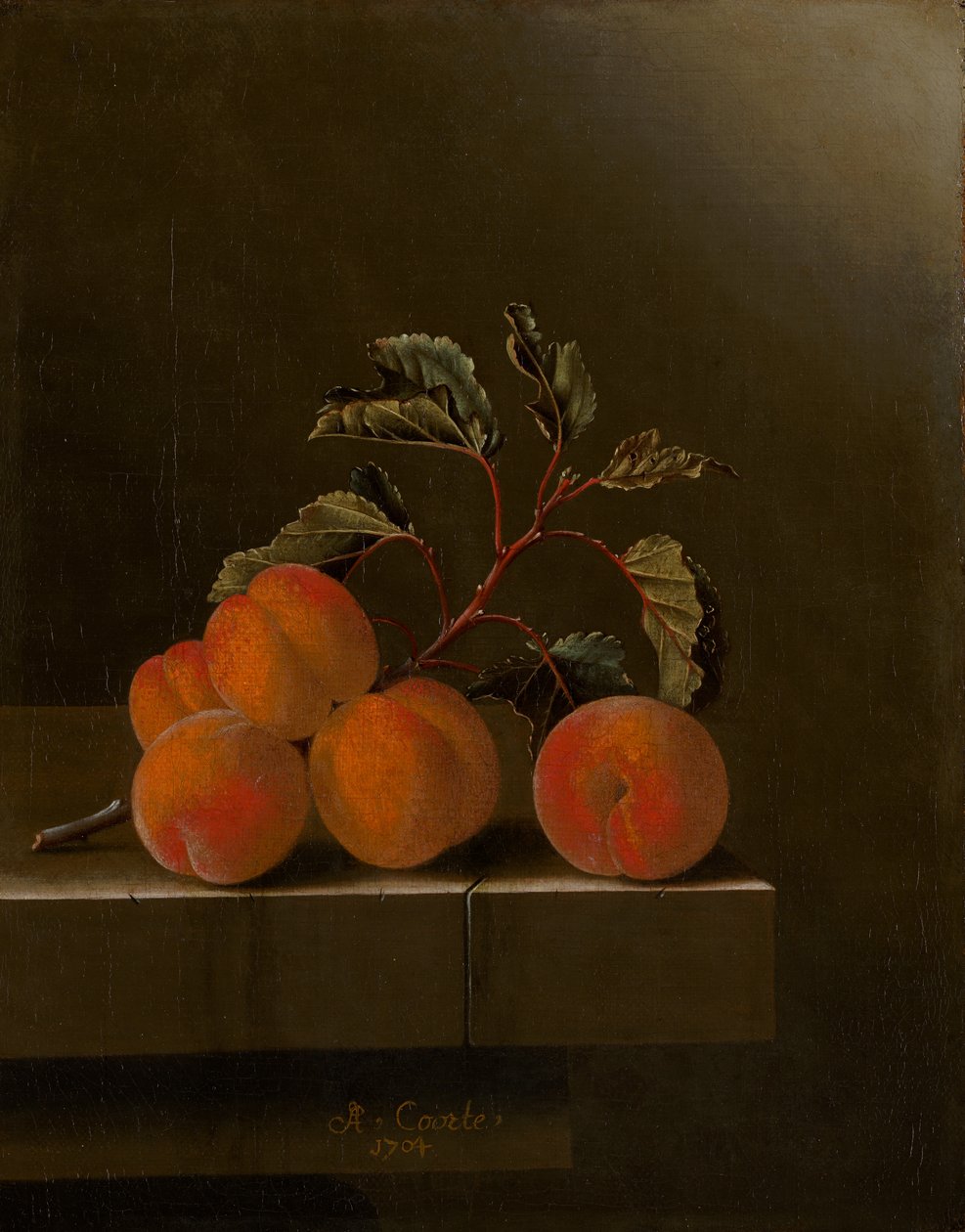 Beş Kayısılı Natürmort, 1704 by Adrian Coorte
