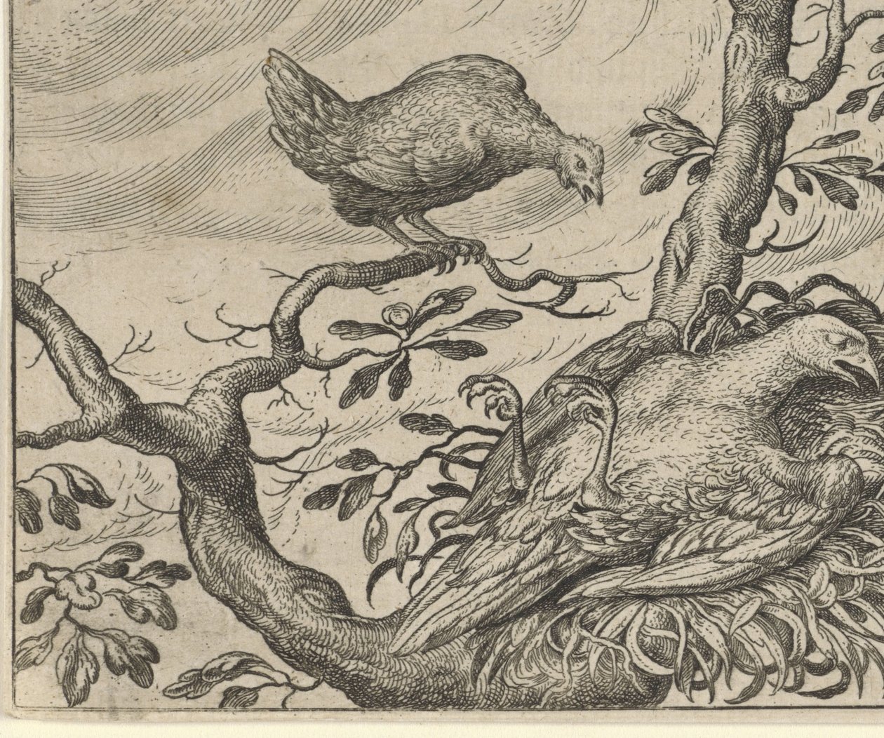 hasta akbaba masalı by Egidius  Sadeler (II)
