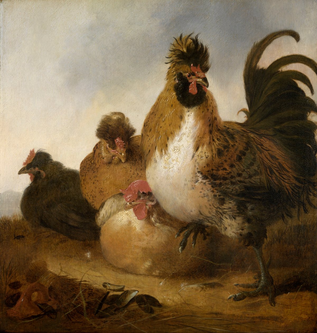 Bir Horoz ve Tavuklar (panel üzerine yağlıboya) by Aelbert Cuyp