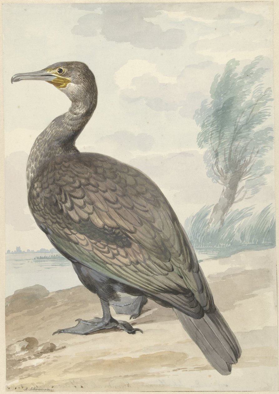 Karabatak by Aert Schouman