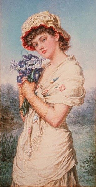 süsen by Agnes Nicholl