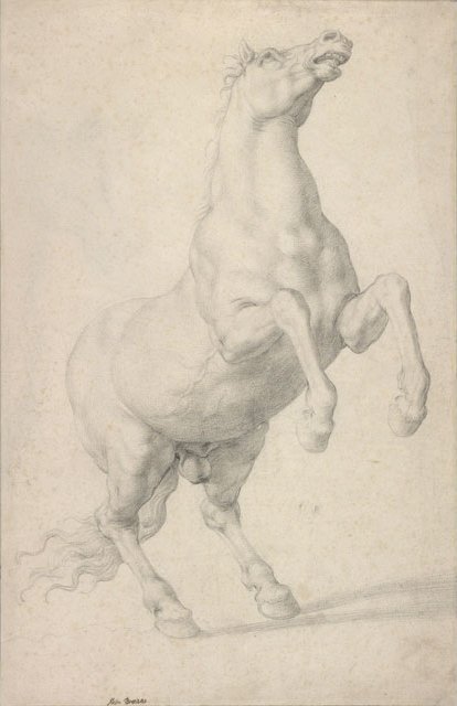 At Yetiştirme by Agnolo Bronzino
